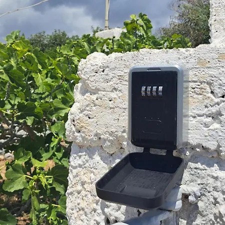 Hébergement de vacances Black